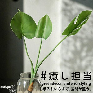 tFCNXe ϗtA CeA  t A E[֕s