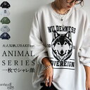 アニマル カレッジロゴ 裏毛トレーナー レディース 送料無料・メール便不可