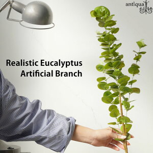 tFCN[J [t Xe  CeA O[E[֕s