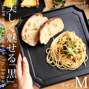 Z pM { M v[g H 23cm H@ΉE[֕s