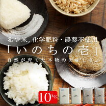 楽天市場】いのちの壱 10kgの通販