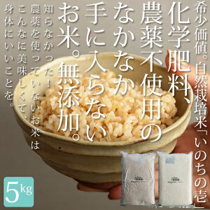 fBAłb!!₢킹E!?R͔|_@ňĂSSȂ ^pbN ̂̈ 5kg EĔ́B[֕s