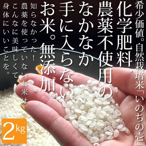 2025N V fBAłb!!₢킹E!?R͔|_@ňĂSSȂ ^pbN ̂̈ 2kg ʑEē [֕s