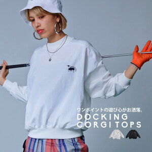 ANTIQUA GOLF×STCH gbvX fB[X E(500)[։