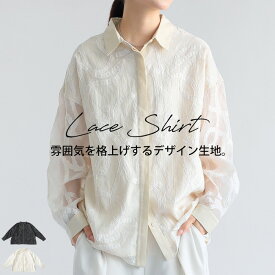 BIGサマーセール20％OFF！11日10時迄 レースシャツ シャツ レディース トップス 長袖・(500)メール便可(返品・キャンセル・交換不可)