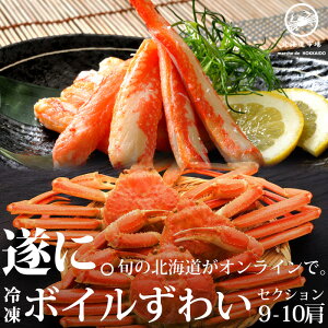 Ⓚ {CYCKj ZNV 9-10 E[֕s(V)