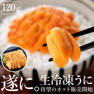 Ⓚ Ⓚ 120g kCY  ⓀHi E[֕s(V)
