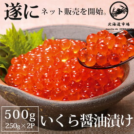 冷凍 醤油漬けいくら いくら イクラ 250g×2 送料無料・メール便不可(V)