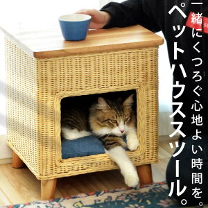 ^ybgnEXXc[ VR Vt ֎q E[֕syDRSz