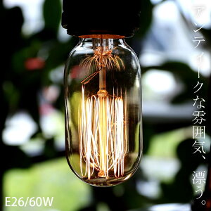 Md d E26 60W 邳240[ GW\^ Ɩ Cg _ Cg CeA fBXvC AeB[N Be[WE[֕s