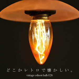 Md d E26 60W 邳240[ VfA Ɩ Cg GW\^  _ CeA fBXvC AeB[NE[֕s