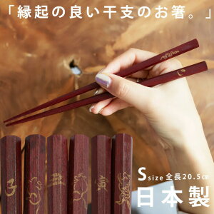 p   x { \x`[t VR hE[֕s