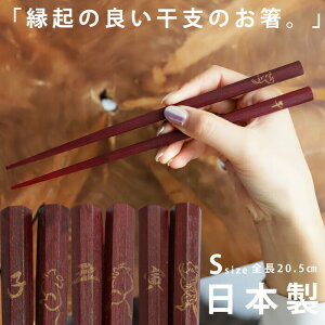 p   x { \x`[t VR hE[֕s