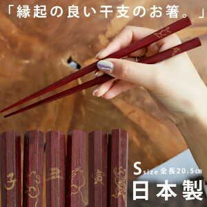 p   x { \x`[t VR hE[֕s