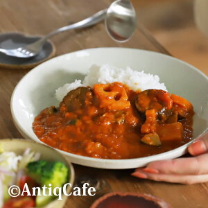 ボウル プレート 皿 中皿 パスタ皿 カレー皿 鉢 食器 電子レンジ対応 食洗機対応 スタッキング 重ね ホワイト ブルー 円 日本製 美濃焼 和食器 メイン キッチン テーブルウェア カフェ レスト