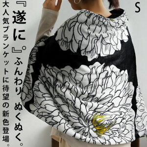 uPbg IWi STCY100×70cm Ђ| |  {At {A {A t[X ѕz ԕ a ubN ӂӂ g o hCu s h΍ H~ JWA