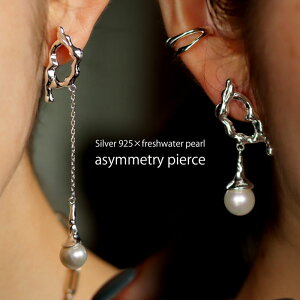 ANZ sAX ANZT[ Wp[ p[ AVg[  Vo[925 Vo[ AM[Ή XNGA ό` p ؚ `F[  ̊  BOXt tE(10