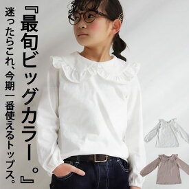 キッズ 子供服 女の子 トップス ブラウス 長袖 ビッグカラー 襟 アンティカ・(80)メール便可 TOY【242B】