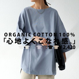 オーガニックコットンT Tシャツ レディース トップス 半袖・(100)メール便可 few