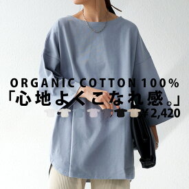オーガニックコットンT Tシャツ レディース トップス 半袖・(100)メール便可 few 母の日
