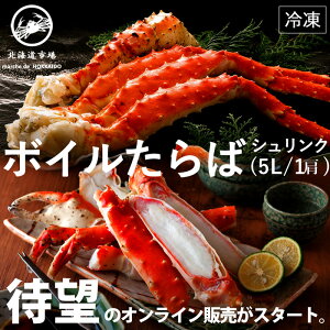 Ⓚ {C^oKj VN 5L 1 E[֕s(V)