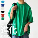 バスクTシャツ Tシャツ レディース トップス 半袖 綿100 無地・再再販。(100)メール便可