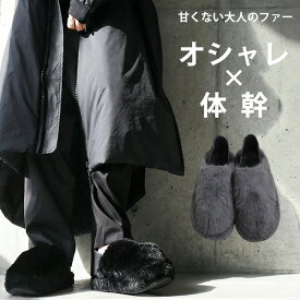 まとめて20％OFF！12日20時〜19日10時 いま大注目の【お洒落×体幹】ファースリッポン レディース 送料無料・メール便不可