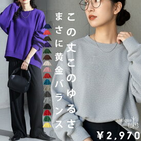 「絶対使える、春の即戦力」1,000円OFF対象！ 大人の正解スウェット。トレーナー レディース 長袖 ショート丈 クルーネック 裏毛・再入荷 メール便不可
