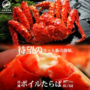 �Ⓚ �{�C���^���o�K�j �V�������N 4L 1�� ���������E���[���֕s��(V)