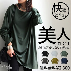 特別送料無料 ロンT カットソー レディース トップス 無地 長袖・再入荷 (500)メール便可