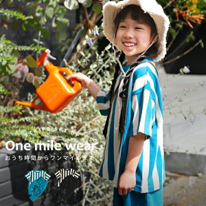 ㉺Zbg [EFA XgCv LbY qEĔ́B(500)[։ TOYy258Bz