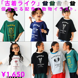 アニマル カレッジロゴ Tシャツ トップス キッズ 子供服・(50)メール便可 TOY【258B】