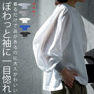 プルオーバー レディース 長袖 綿100 無地 送料無料 ・新色登場 (80)メール便可