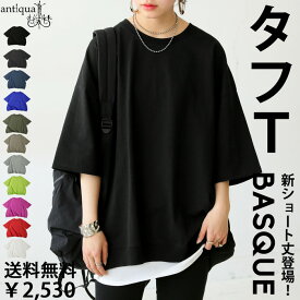 タフT Tシャツ レディース 半袖 綿100 無地 トップス カットソー クルーネック コットン ゆったり 大きいサイズ きれいめ 低身長 高身長 大人カジュアル モード シンプル 着回し 高見え antiqua 特別送料無料 ・(80)メール便可