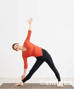 AcȂvf[XI܂݃K}bg EĔ́B[֕sy258Bz