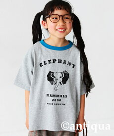 アニマルカレッジ Tシャツ ロゴT キッズ トップス 子供服 ジュニア・(50)メール便可 TOY