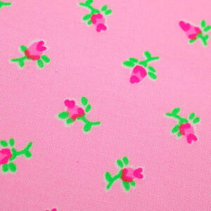 Lottie xr[sN 1mJbgρyAEgbg30OFFzJt 킢 g nhCh pb`[N { Rbg n u 100 | 胍[Y  vg o ڂ 