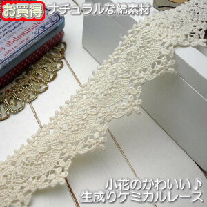 X[p[SALEzyz 4cm ȑfނ̐菬ԃP~J[Xi1mj