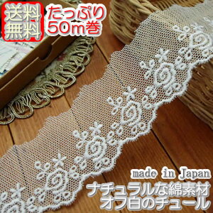 yzƖp4.3cmIt킢õ`[[Xi50mj