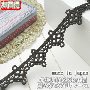 y݌ɏz2.5cm̃P~J[X(1m)