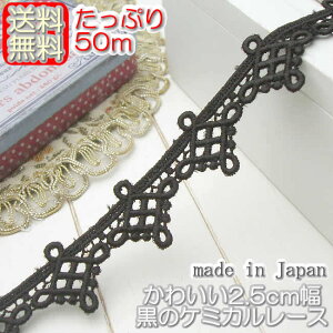 yzƖp2.5cm ̃P~J[X(50m)