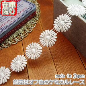 X[p[SALEzyz2.5cmIt̃P~J[X(1m)