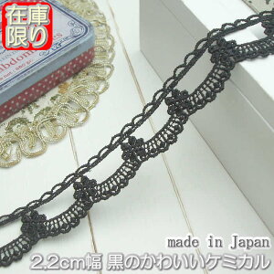 y݌Ɍz2.2cm킢̃P~J[X(1m)