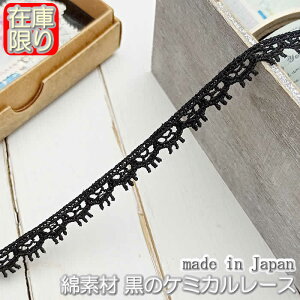 y݌Ɍz0.8cm ̃P~J[X(1m)