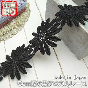 y݌ɏz5cm ̍؂ȃP~J[X(1m)