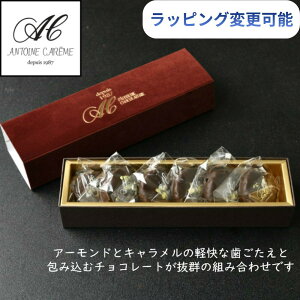 bsOt^ a Ε XC[c  Ε `R  v[g j j Ԃ o[Xf[ VR َq   mَq 蕨 j l