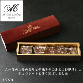 ラッピングジンジャー チョコレート 誕生日 ギフト スイーツ ショウガ お礼 お歳暮 チョコ チョコレート 誕生日 ギフト おしゃれ プレゼント 内祝 結婚祝い お返し バースデー ショコラ お菓子 お取り寄せ 銘菓 洋菓子 贈り物 お祝い 熨斗対応 高級 バレンタイン