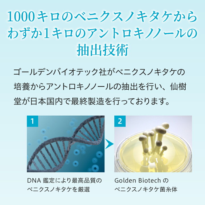 楽天市場】【1箱 】 仙樹堂アントロキノノール（森耀（しんき）） （1 