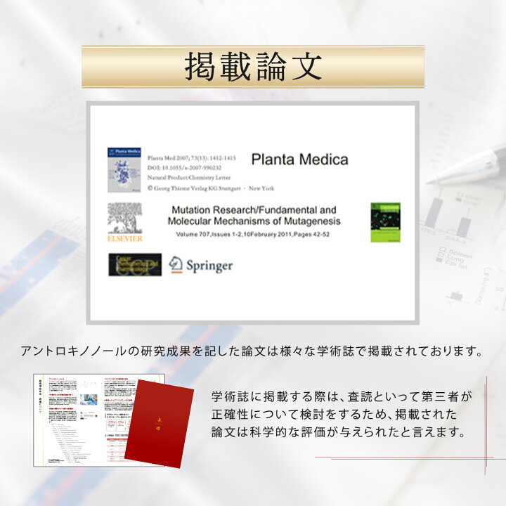 楽天市場】【1箱 (10日分) セット】 森耀 高濃度 アントロキノノール 