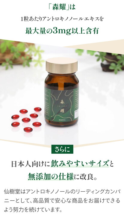 楽天市場】【3箱 (1か月分) セット】 森耀 高濃度 アントロキノノール 